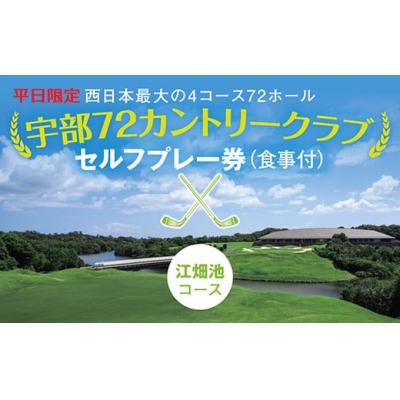 ふるさと納税 山口市 [平日限定]セルフプレー券(江畑池コース・食事付)