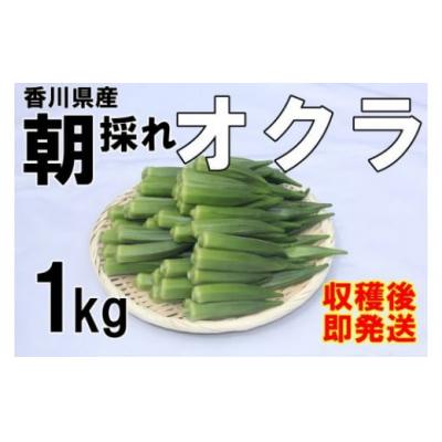ふるさと納税 善通寺市 <先行受付> [2026年産]善通寺市産オクラ 1kg [6月頃から発送開始予定]
