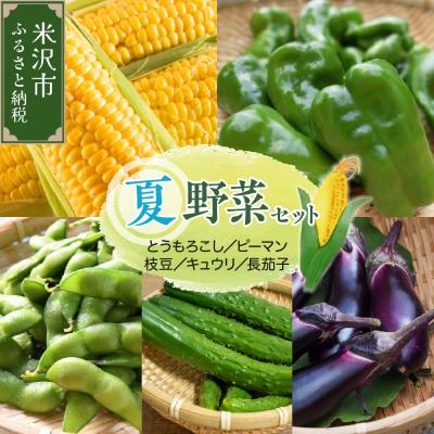 ふるさと納税 米沢市 [先行受付] 令和8年産 トウモロコシと夏野菜セット