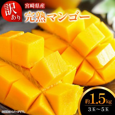 ふるさと納税 宮崎県 <2027年発送>訳あり 完熟 マンゴー 約1.5kg (3玉〜5玉) 宮崎県産 果物 フルーツ | 