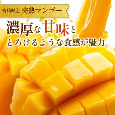 ふるさと納税 宮崎県 <2027年発送>訳あり 完熟 マンゴー 約1.5kg (3玉〜5玉) 宮崎県産 果物 フルーツ |  | 01
