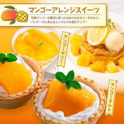 ふるさと納税 宮崎県 <2027年発送>訳あり 完熟 マンゴー 約1.5kg (3玉〜5玉) 宮崎県産 果物 フルーツ |  | 02