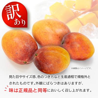 ふるさと納税 宮崎県 <2027年発送>訳あり 完熟 マンゴー 約1.5kg (3玉〜5玉) 宮崎県産 果物 フルーツ |  | 03