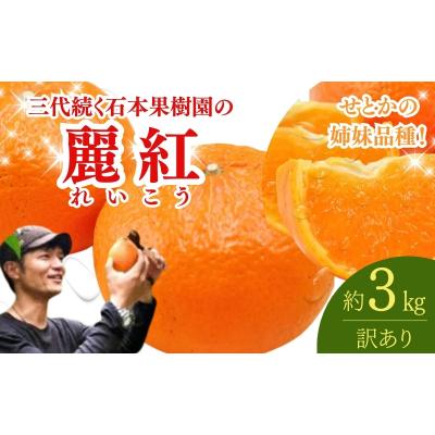 ふるさと納税 紀宝町 訳あり 石本果樹園の美味しい麗紅 約3kg[2026年2月中旬〜3月中旬に発送][min018]