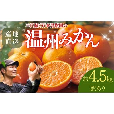 ふるさと納税 紀宝町 訳あり 石本果樹園の美味しい温州みかん 約4.5kg[11月初旬〜1月下旬発送][min020]