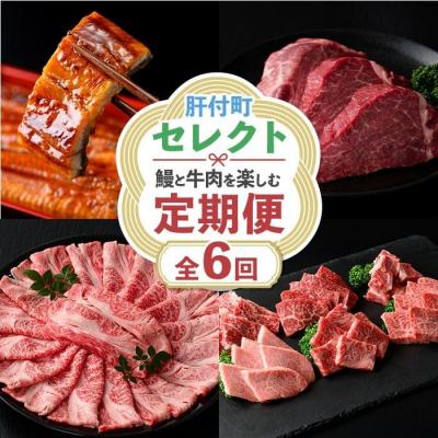 ふるさと納税 肝付町 肝付町セレクト定期便[鰻と牛肉を楽しむ定期便][毎月・全6回]