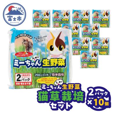 ふるさと納税 富士市 ミーちゃんスッキリ生野菜 2パック×10個 猫草栽培セット [sf002-386]