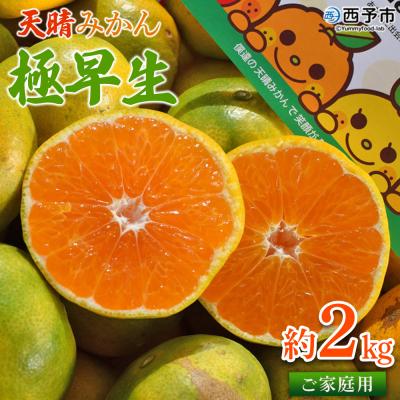 ふるさと納税 西予市 [先行受付]天晴みかん 極早生 ご家庭用 約2kg