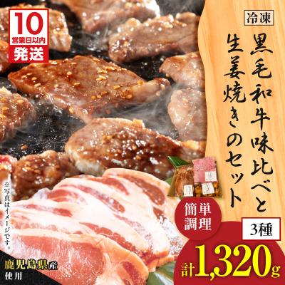 ふるさと納税 鹿児島市 [10営業日以内に発送]黒毛和牛味比べと生姜焼きのセット