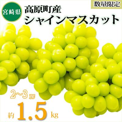 ふるさと納税 高原町 久保ぶどう園の高原町産シャインマスカット(約1.5kg)[宮崎県産 2〜3房 湧水育ち]