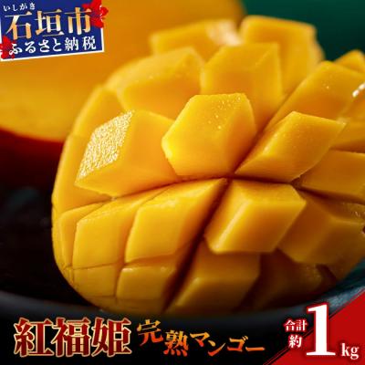 ふるさと納税 石垣市 [2026年発送 先行受付]「紅福姫ブランド」石垣島のマンゴー 約1kg