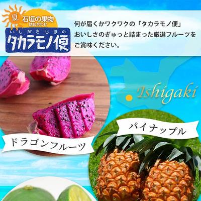 ふるさと納税 石垣市 《2027年夏に順次発送予定》石垣島の夏「果物」詰め合わせ〜夏のタカラモノ果物便〜 |  | 01