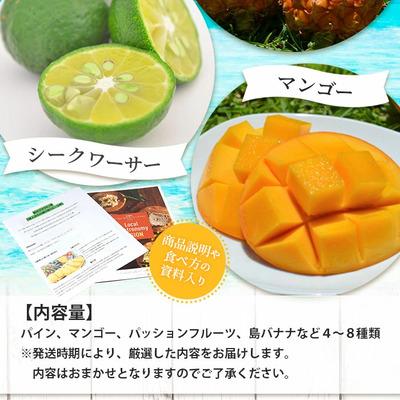 ふるさと納税 石垣市 《2027年夏に順次発送予定》石垣島の夏「果物」詰め合わせ〜夏のタカラモノ果物便〜 |  | 02