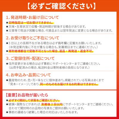 ふるさと納税 石垣市 《2027年4月上旬以降順次発送》桃香纏う幻果 ピーチパイン 3玉 (約2.7kg) |  | 03