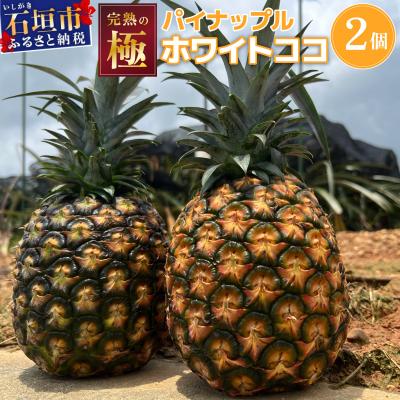 ふるさと納税 石垣市 [2027年5月以降順次発送]完熟の極 石垣島産パイナップル ホワイトココ2個セット