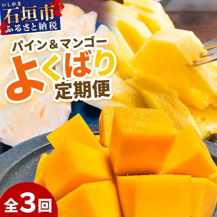 ふるさと納税 石垣市 島のおいしいを贅沢に!パイナップル2種とマンゴー1種のよくばり定期便《2027年5月〜7月順次発》 | 