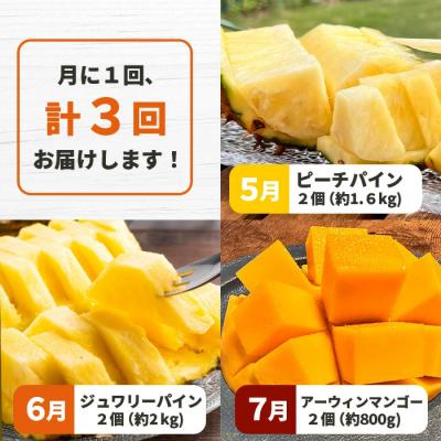 ふるさと納税 石垣市 島のおいしいを贅沢に!パイナップル2種とマンゴー1種のよくばり定期便《2027年5月〜7月順次発》 |  | 01