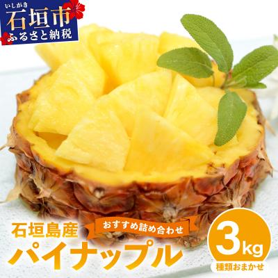 ふるさと納税 石垣市 【2027年5月から順次発送】石垣島産パイナップル