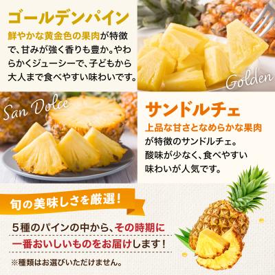 ふるさと納税 石垣市 【2027年5月から順次発送】石垣島産パイナップル