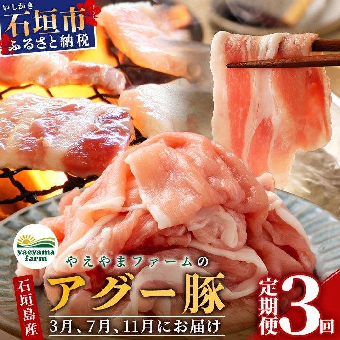 ふるさと納税 石垣市 [3回定期便]石垣島産 やえやまファームのアグー豚の 3回定期便(3月、7月、11月お届け)