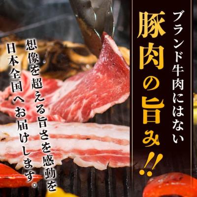 ふるさと納税 石垣市 【3回定期便】石垣島産 やえやまファームのアグー豚の 3回定期便(3月、7月、11月お届け) |  | 01