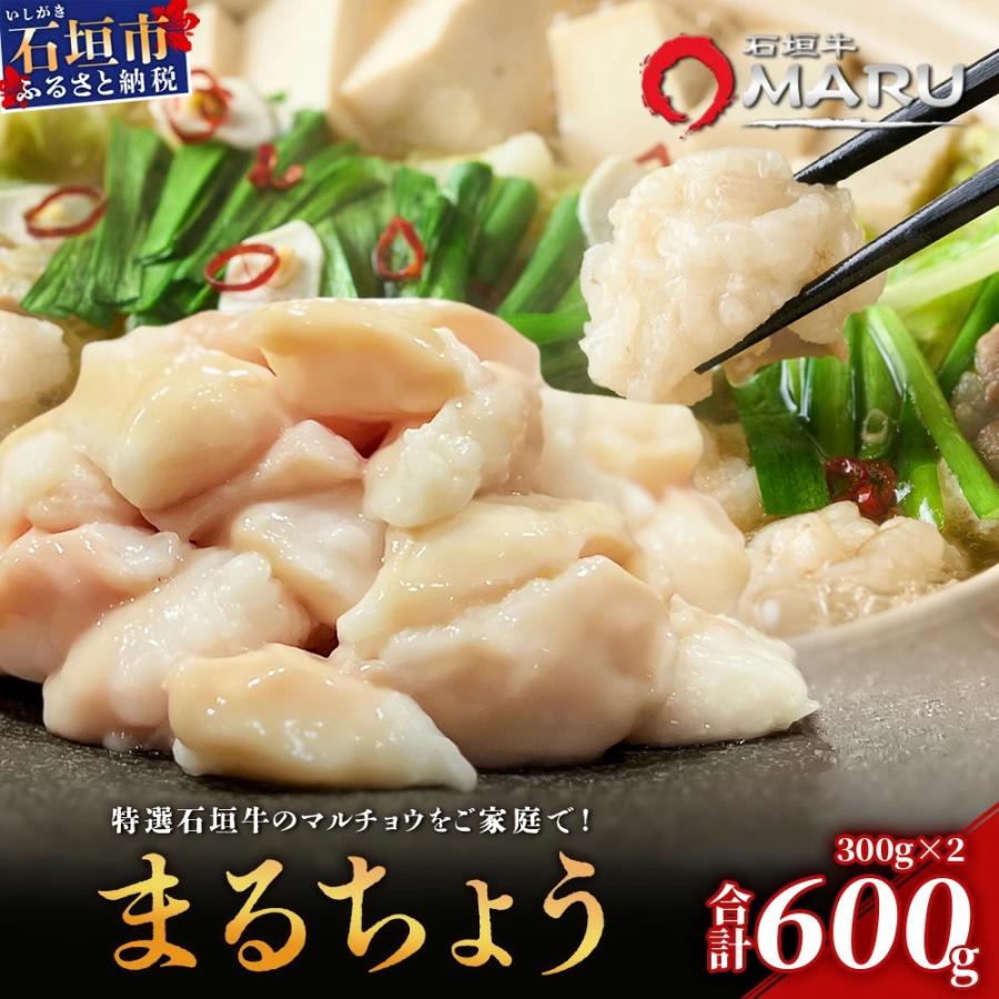 ふるさと納税 石垣市 希少な特選石垣牛のホルモンをご家庭で!!マルチョウ300g×2パック