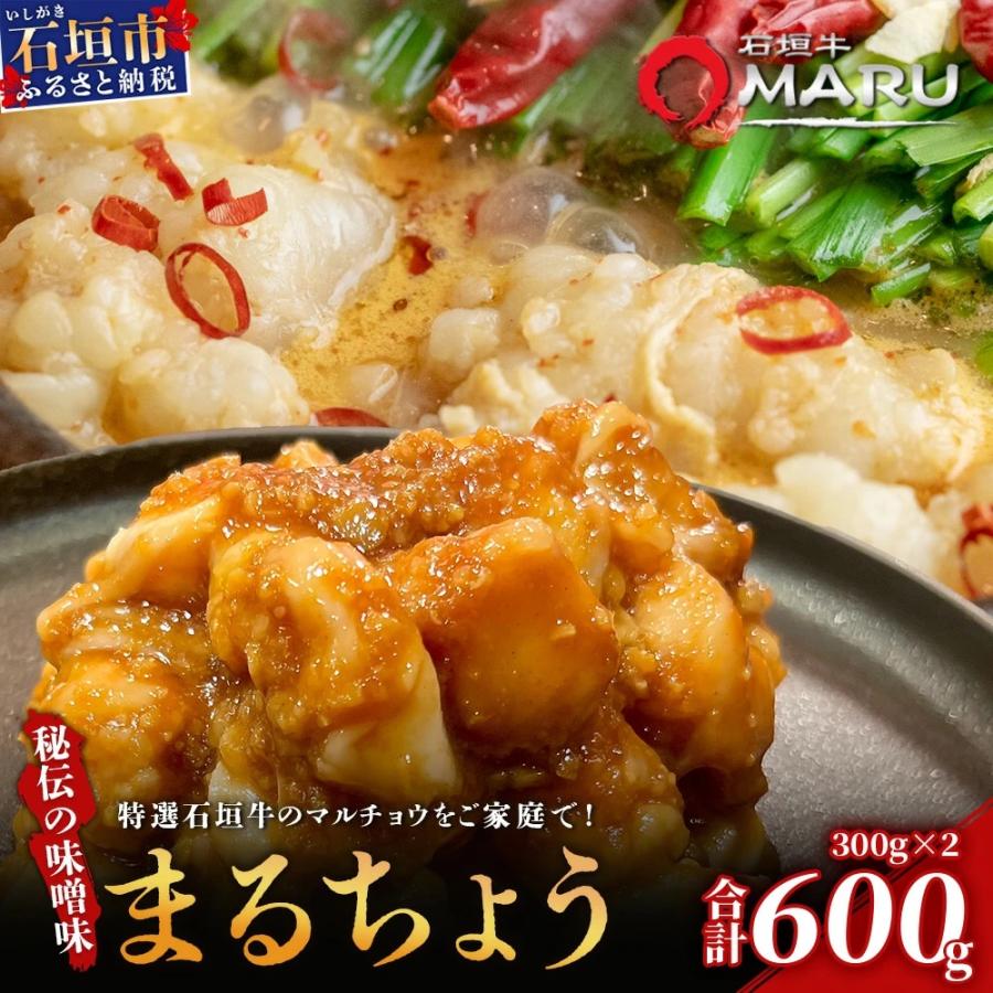 ふるさと納税 石垣市 希少な特選石垣牛のホルモンをご家庭で!!秘伝の味噌味マルチョウ300g×2パック