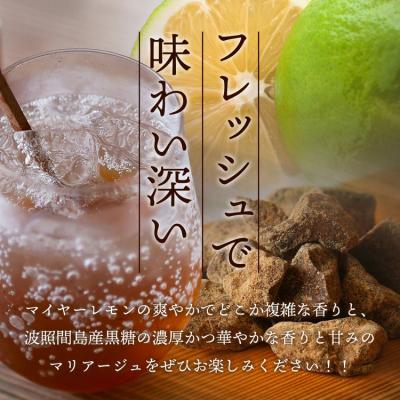 ふるさと納税 石垣市 【先行受付】\u003c2026年10月〜12月順次発送\u003e 黒糖レモン生シロップと果肉入りの120ml×各1本_1
