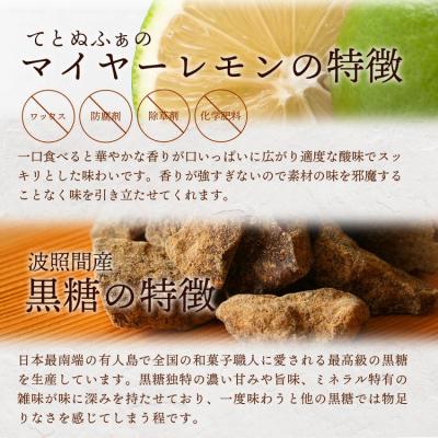 ふるさと納税 石垣市 【先行受付】\u003c2026年10月〜12月順次発送\u003e 黒糖レモン生シロップと果肉入りの120ml×各1本_3