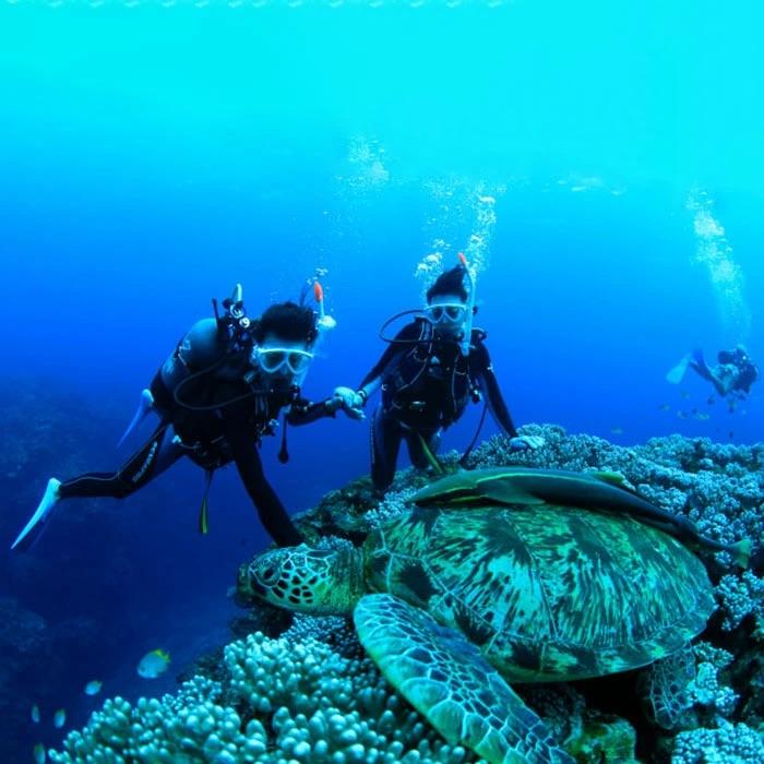 ふるさと納税 石垣市 PS-2 ぷしぃぬしまアクティビティツアー利用券(5000円分)