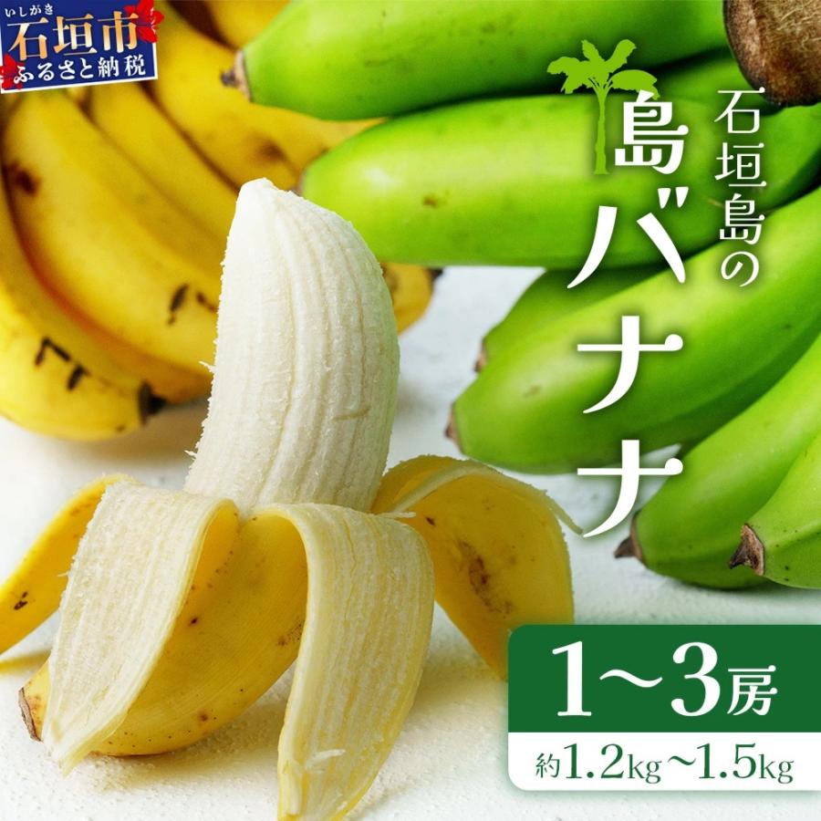 ふるさと納税 石垣市 <先行受付>石垣島の島バナナ、1〜3房(約1,2〜1,5kg前後入り)[2026年7月より順次発送]