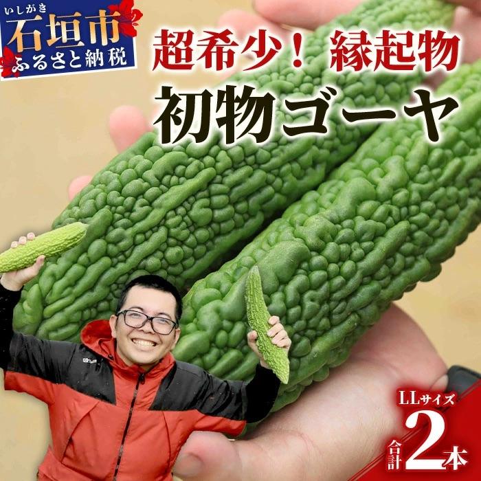 ふるさと納税 石垣市 [先行受付]希少品!贈答用「初物ゴーヤ」[2026年1月上旬〜2026年2月中旬頃まで順次発送]