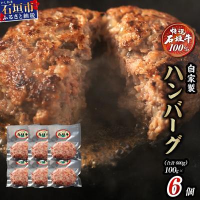 ふるさと納税 石垣市 高級 黒毛和牛 石垣牛 100% 自家製 ハンバーグ 100g×6個 600g