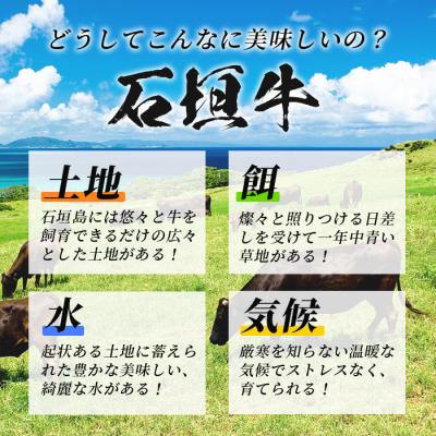 ふるさと納税 石垣市 石垣牛100% 極めハンバーグ 150g×10個 ≪肉職人が作ったこだわりハンバーグ≫