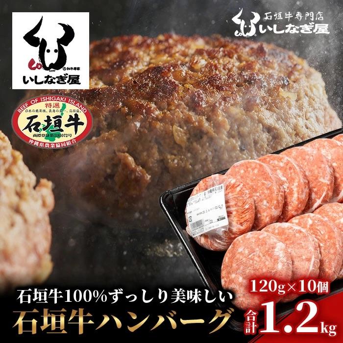 ふるさと納税 石垣市 石垣牛ハンバーグ120g×10個[沖縄県 石垣市 黒毛和牛 100% 石垣牛]