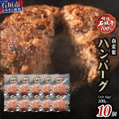 ふるさと納税 石垣市 石垣牛 ハンバーグ ≪100g10個≫(八重山パーツミート)