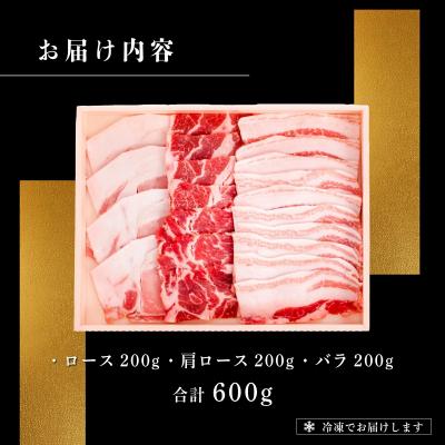 ふるさと納税 石垣市 石垣島産 やえやまファームのアグ―豚(南ぬ豚)焼肉セット600g |  | 03
