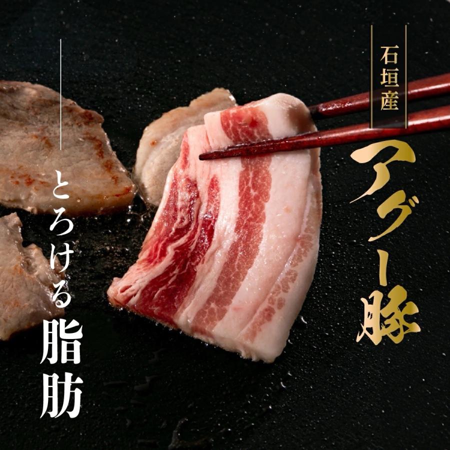 ふるさと納税 石垣市 石垣島産 やえやまファームのアグ―豚(南ぬ豚)焼肉セット1kg |  | 01