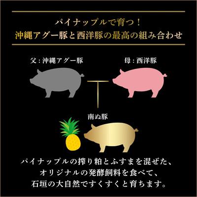 ふるさと納税 石垣市 石垣島産 やえやまファームのアグ―豚(南ぬ豚)焼肉セット1kg |  | 02