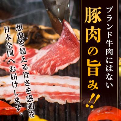 ふるさと納税 石垣市 やえやまファームのアグー豚(F1種) 南ぬ豚 焼肉用 食べくらべセット |  | 01