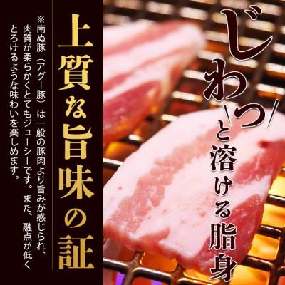 ふるさと納税 石垣市 やえやまファームのアグー豚(F1種) 南ぬ豚 焼肉用 食べくらべセット |  | 02