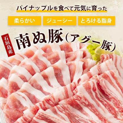 ふるさと納税 石垣市 やえやまファームのアグー豚 (F1種) 南ぬ豚 しゃぶしゃぶ用 食べくらべセット |  | 02