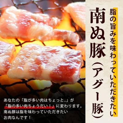 ふるさと納税 石垣市 やえやまファームのアグー豚(F1種) 南ぬ豚 焼肉用ロース200g+バラ200g |  | 02