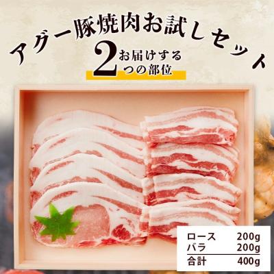 ふるさと納税 石垣市 やえやまファームのアグー豚(F1種) 南ぬ豚 焼肉用ロース200g+バラ200g |  | 03