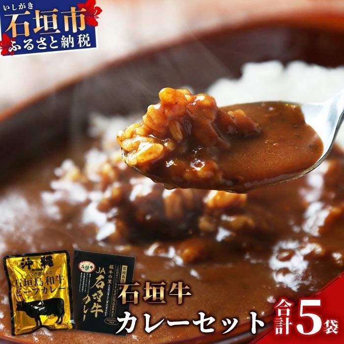 ふるさと納税 石垣市 JA石垣牛カレー200g×2箱&amp;石垣島和牛ビーフカレー 160g×3袋[合計880g]