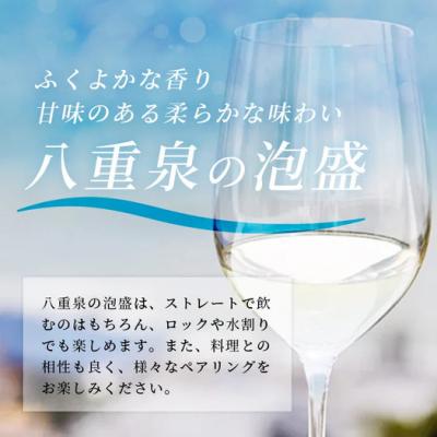 ふるさと納税 石垣市 琉球泡盛　島うらら720ml×2本+グラス×2個 YS-16 |  | 01