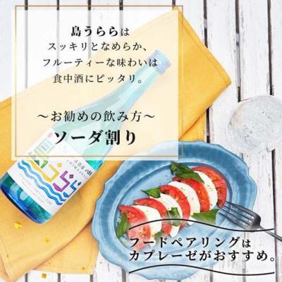 ふるさと納税 石垣市 琉球泡盛　島うらら720ml×2本+グラス×2個 YS-16 |  | 03