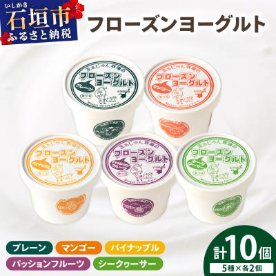 ふるさと納税 石垣市 まぁじゅん牧場のフローズンヨーグルトセット 5種詰め合わせ 10個入り