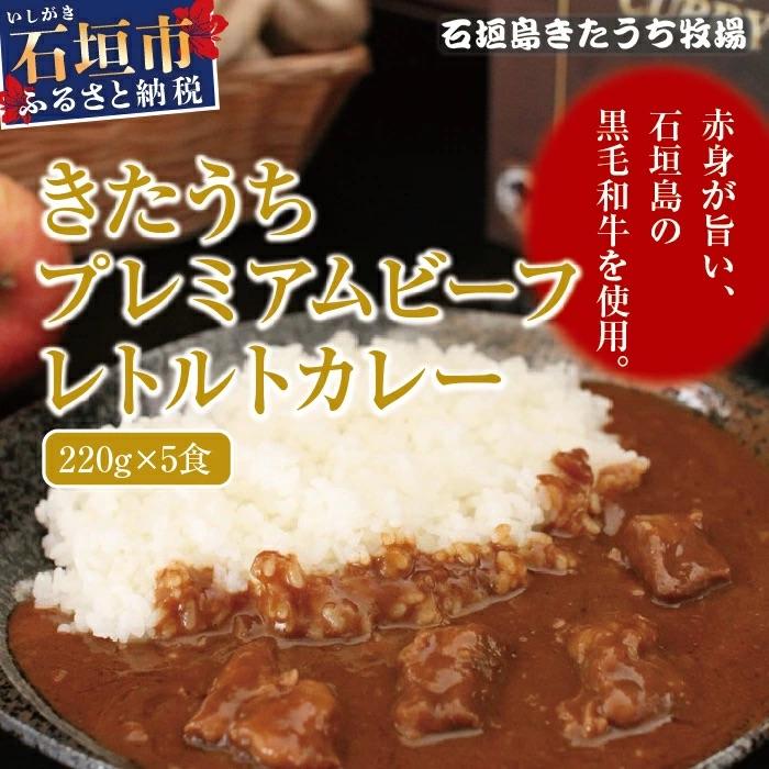 ふるさと納税 石垣市 AM-14 きたうちプレミアムビーフ レトルトカレー