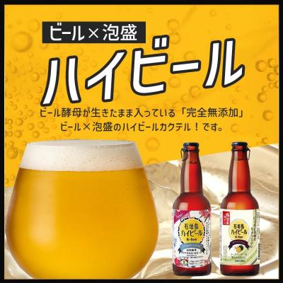 ふるさと納税 石垣市 石垣島ハイビール 12本セット |  | 01